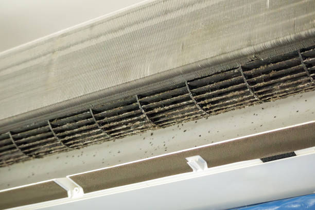 Best Air Duct Cleaning Near Me  in Fort Lauderdale, FL